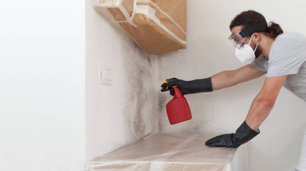 Professional Mold Remediation technician working in Peabody, MA